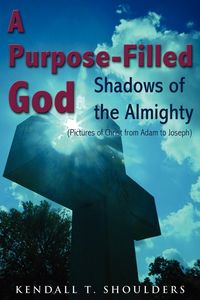 Produktbild: A Purpose-Filled God