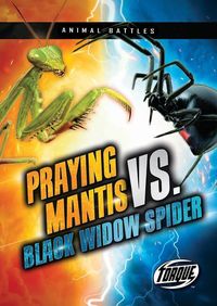 Produktbild: Praying Mantis vs. Black Widow Spider