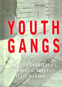Produktbild: Youth Gangs