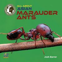 Produktbild: All about Asian Marauder Ants