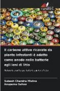 Produktbild: Il carbone attivo ricavato da piante infestanti &egrave; adatto come anodo nelle batterie agli ioni di litio