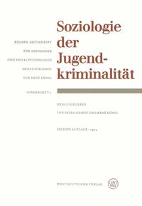 Produktbild: Soziologie der Jugendkriminalit&auml;t