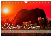 Produktbild: Elefanten-Traum - Herzenssache Afrika (Wandkalender 2026 DIN A4 quer), CALVENDO Monatskalender