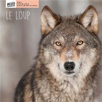 Produktbild: Le loup