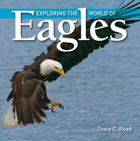 Produktbild: Exploring the World of Eagles