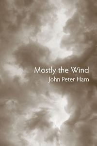 Produktbild: Mostly the Wind