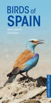 Produktbild: Bocos Gonzalez, C: Birds of Spain