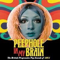 Bild vom Artikel Peephole In My Brain-Complete Singles Collection vom Autor Various Artists