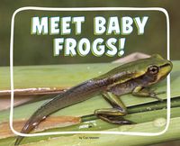 Produktbild: Meet Baby Frogs!