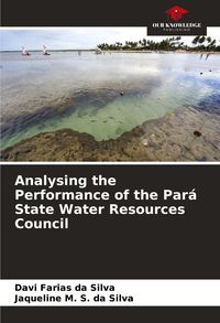 Produktbild: Analysing the Performance of the Par&aacute; State Water Resources Council