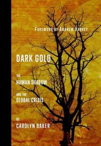Produktbild: Dark Gold: The Human Shadow and the Global Crisis