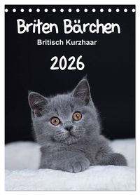 Produktbild: Briten B&auml;rchen &ndash; Britisch Kurzhaar 2026 (Tischkalender 2026 DIN A5 hoch), CALVENDO Monatskalender