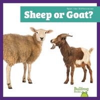 Produktbild: Sheep or Goat?