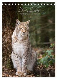 Produktbild: Der Luchs - Europas gr&ouml;&szlig;te Samtpfote (Tischkalender 2027 DIN A5 hoch), CALVENDO Monatskalender