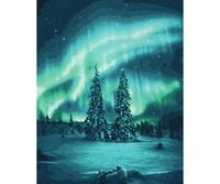 Produktbild: MNZ - Polarlichter
