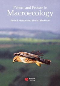 Produktbild: Pattern and Process in Macroecology