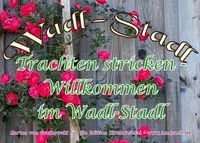 Produktbild: Trachten stricken - Willkommen im Wadl-Stadl