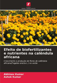 Produktbild: Efeito de biofertilizantes e nutrientes na cal&ecirc;ndula africana