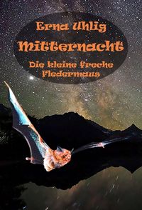 Produktbild: Mitternacht