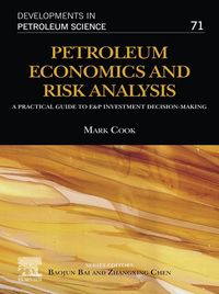 Produktbild: Petroleum Economics and Risk Analysis