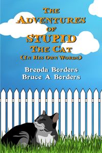 Produktbild: The Adventures Of Stupid The Cat