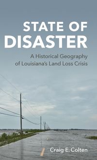 Produktbild: State of Disaster