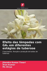 Produktbild: Efeito das l&acirc;mpadas com GA&iquest; em diferentes est&aacute;gios de tuberose