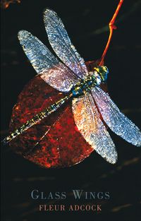 Produktbild: Glass Wings