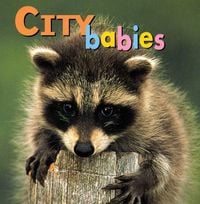 Produktbild: City Babies