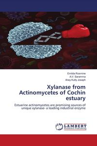 Produktbild: Xylanase from Actinomycetes of Cochin estuary