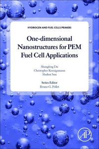 Produktbild: One-Dimensional Nanostructures for Pem Fuel Cell Applications