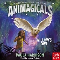 Produktbild: Animagicals: Willow's Owl