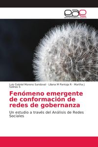 Produktbild: Fen&oacute;meno emergente de conformaci&oacute;n de redes de gobernanza