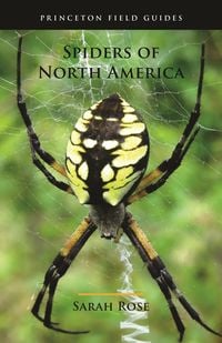 Produktbild: Spiders of North America