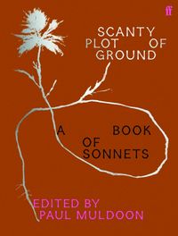 Produktbild: Scanty Plot of Ground
