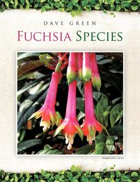 Bild vom Artikel Fuchsia Species vom Autor Dave Green