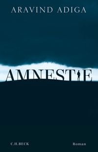 Produktbild: Amnestie