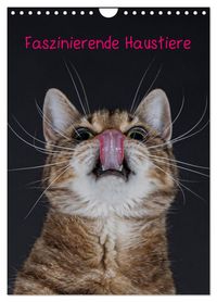 Produktbild: Faszinierende Haustiere (Wandkalender 2026 DIN A4 hoch), CALVENDO Monatskalender