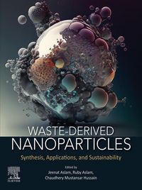 Produktbild: Waste-Derived Nanoparticles