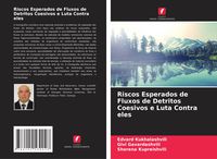 Produktbild: Riscos Esperados de Fluxos de Detritos Coesivos e Luta Contra eles