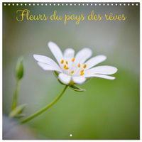 Produktbild: Fleurs du pays des r&ecirc;ves (Calendrier mural carr&eacute; 2026 30x30 cm) Calendrier double avec une page pour vos prises de notes