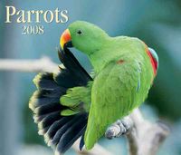 Produktbild: Parrots 2008 Calendar