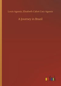 Produktbild: A Journey in Brazil