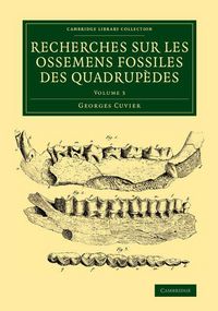 Produktbild: Recherches sur les ossemens fossiles des quadrup&egrave;des - Volume 3