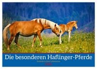 Produktbild: Die besonderen Haflinger-Pferde (Wandkalender 2026 DIN A2 quer), CALVENDO Monatskalender