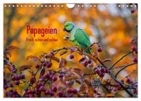 Produktbild: Papageien - Frech, sch&ouml;n und schlau (Wandkalender 2026 DIN A4 quer), CALVENDO Monatskalender