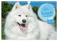 Produktbild: Der Samojede - Sch&ouml;nheit des Nordens (Wandkalender 2026 DIN A4 quer), CALVENDO Monatskalender