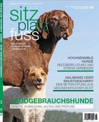 Bild vom Artikel SitzPlatzFuss, Ausgabe 29 vom Autor 