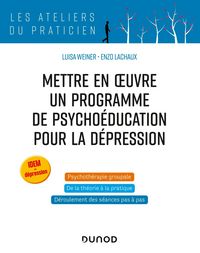 Produktbild: Mettre en oeuvre un programme de psycho&eacute;ducation pour la d&eacute;pression