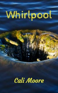 Produktbild: Whirlpool (Bonds of Friendship, #3)